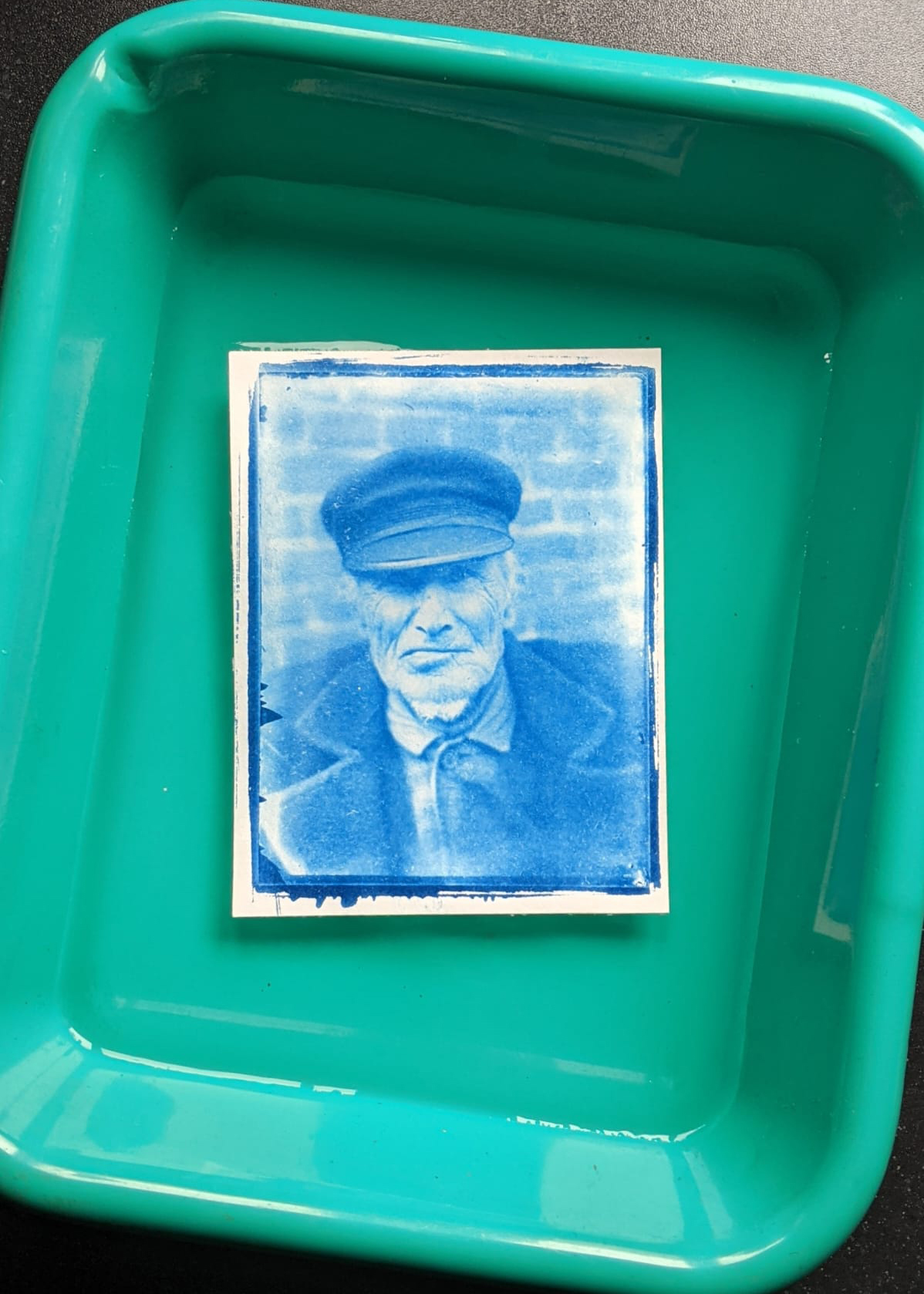 Cyanotype_Dorien