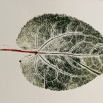 nanda coppens botanisch monoprint 10