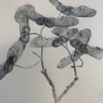 nanda coppens botanisch monoprint 11