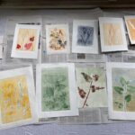 nanda coppens botanisch monoprint 6