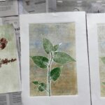nanda coppens botanisch monoprint 8